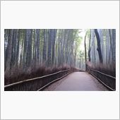 嵐山は