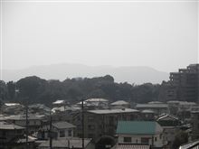 外出控え中です。