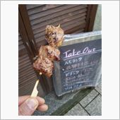 今シーズン17回目♪ヽ(&#180;▽ ...