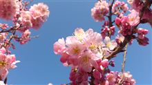20130309江の島ポタリング