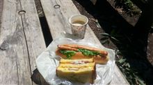 今日のお昼