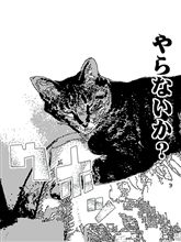 土曜日