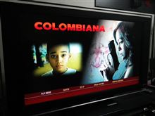シンプルな脚本でアクションを楽しめます!!～COLOMBIANA
