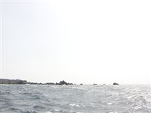 潮岬・住崎 一の島のコジ釣行 平成25年3月16日