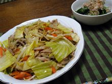 ソース焼きそば♪