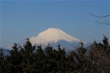 ハイドラ!関東遠征 & マークXオフ会in大黒PA ハイドラ!関東遠征 & マークXオフ会in大黒PA