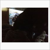 小雨降ってテレビはツマラン番 ...
