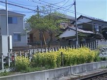 こんちば～