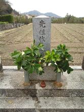 お墓参り
