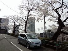 花房山