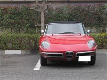 alfaromeo 1750 spider veloce  桜並木を突っ走れ！　粘っこく！ 