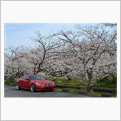 静岡へドライブ