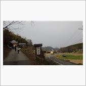 おへそカフェ