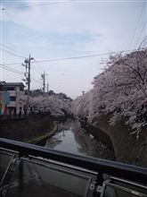 春を探して　その２