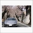 ケイ子と桜トンネル♪・・・そして出会い系