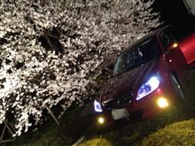 cherryなblossomを求めて