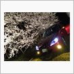cherryなblossomを求めて