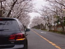 サクラ～からのNISSAN SHOWROOM