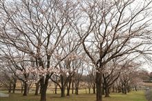 一度は見てみたいクルマ 一度は見てみたいクルマ