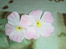 【さくら】X【桜】 【さくら】X【桜】