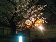 一人はなみ