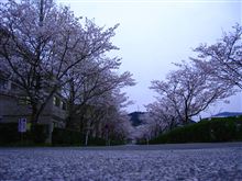 開放