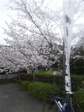 花見