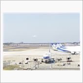 飛行機を見に