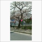 今日の私は・・・・