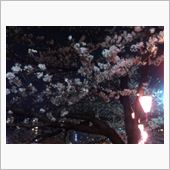 夜桜と　お夜食♪
