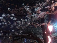 夜桜と　お夜食♪