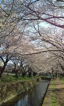 3月の出来事⑦