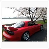 FDと伊佐沼の桜