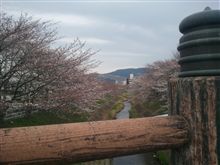せっかく奈良 せっかく奈良
