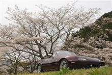 桜とロードスターの写真撮った