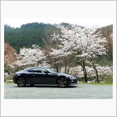 BRZと桜