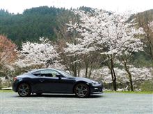BRZと桜