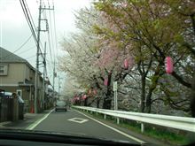 ドライブといろいろ !! ドライブといろいろ !!