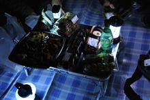夜桜宴会という名の寒冷我慢会