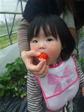３月通信！(もう４月か（笑）)
