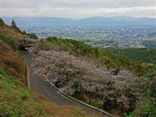 徳島県道３１号鴨島神山線　