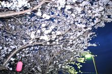 花見とイベント