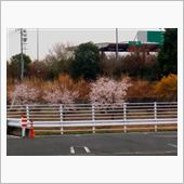 花冷え　・・・o(▼_▼θ