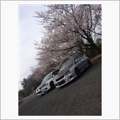この時期定番！