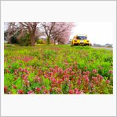 ECO☆CRZのエコ散歩～春 ...