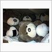 分身クマの仲間を忘れてた図ｗ