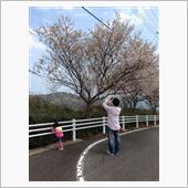 iPhoneのカメラ (・Д ...
