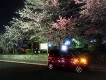 夜桜～哲学の道