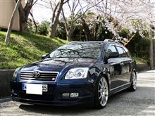 散ってしまう前に･･･