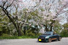 桜と愛車